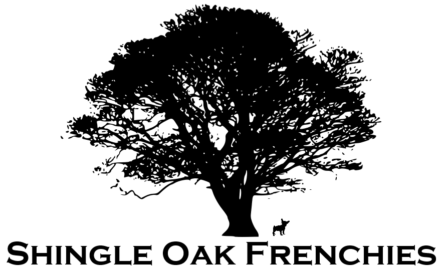 logo for shingle oak frenchies