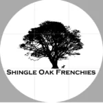 Shingle Oak Frenchies